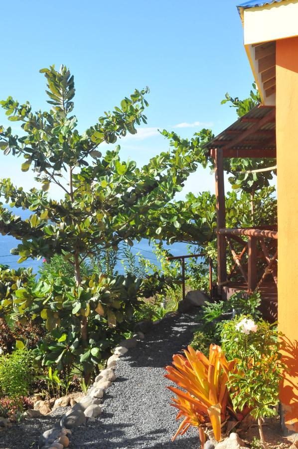 Mango Island Lodges Saint Joseph Екстер'єр фото