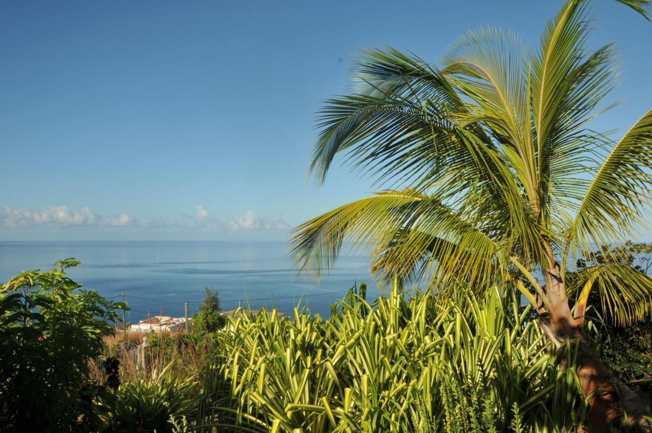 Mango Island Lodges Saint Joseph Екстер'єр фото